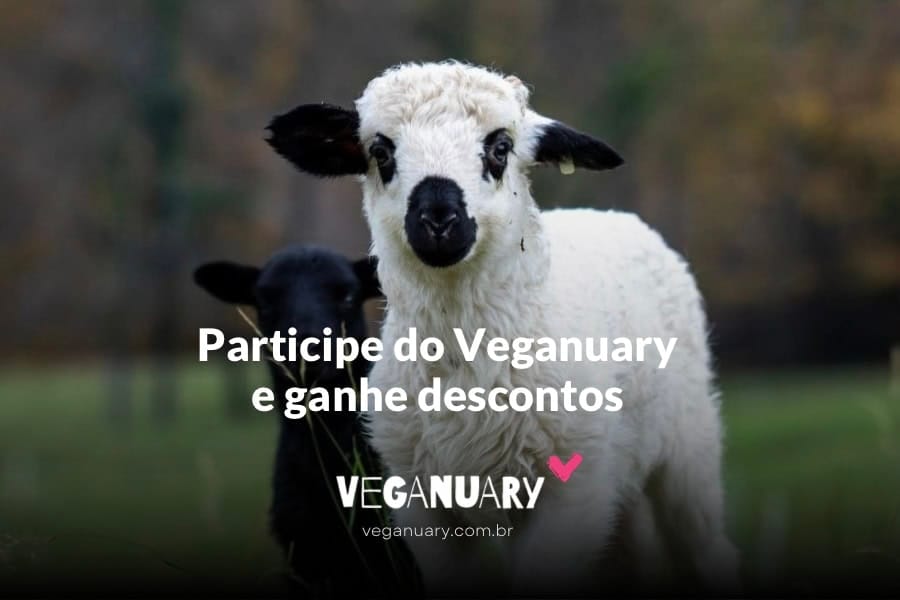 Alt texto: OVELHA PEQUENA E FOFA EM PERCURSO DE PASTOREIO, INÍCIO DE CAMPANHA VEGANA SUSTENTÁVEL.